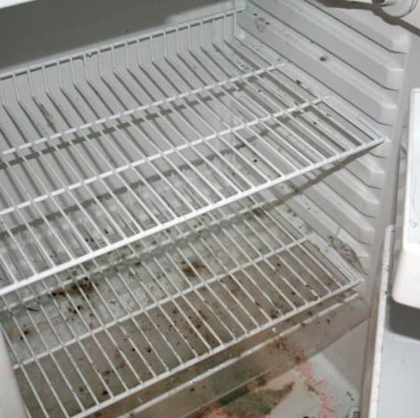 Check Appliance for Mold and Mildew