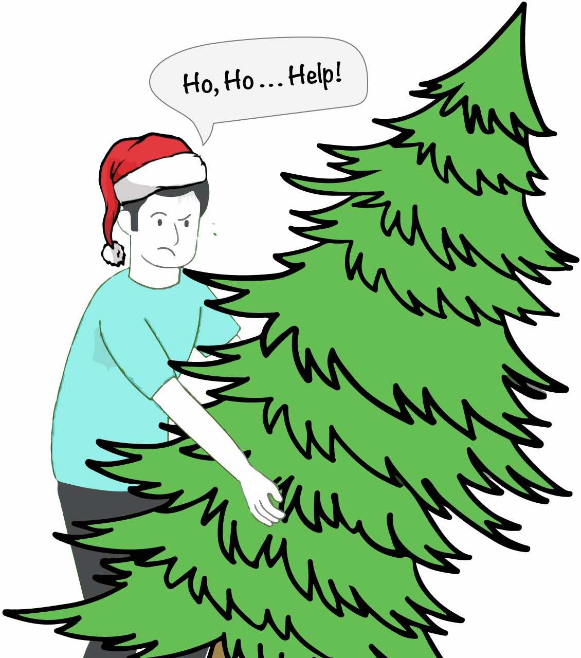 LoadUp offer FREE Christmas tree disposal this holiday season