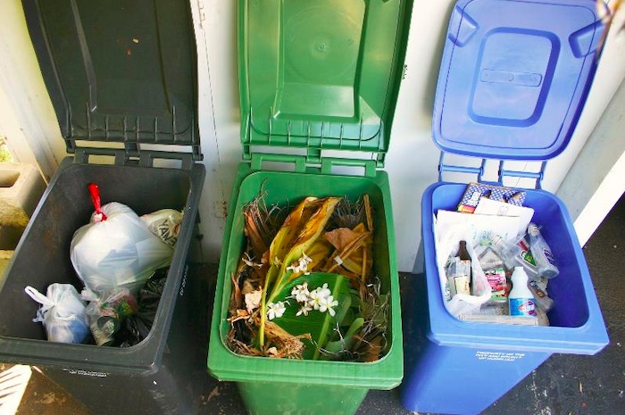 what to put in recycling bin