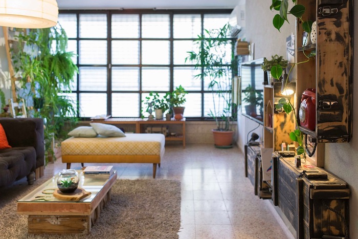 Upcycling furniture and housing plants for eco-friendly interior design