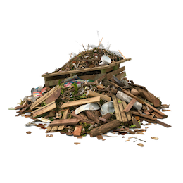 Debris removal and disposal services