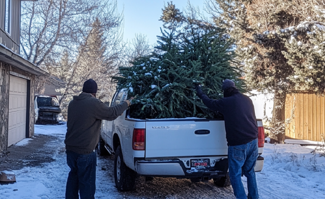 Junk removal pros hauling away a christmas tree