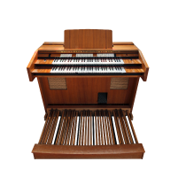 Reliable electronic mandolin pick up and disposal services