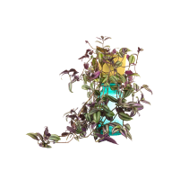 Large houseplant removal services